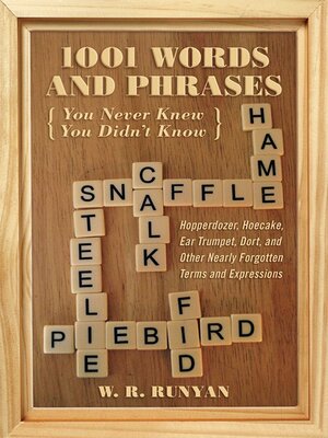 cover image of 1,001 Words and Phrases You Never Knew You Didn't Know